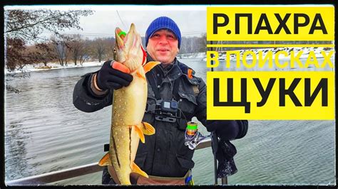 Особенности рыбы, доступной для ловли в потоке Пахра: узнаем больше!