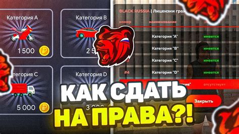 Ответы на вопросы, где можно обнаружить защитные снаряжение в окружении "Чистого Неба"