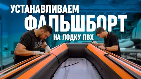 Отзывы владельцев питомцев, перевозивших их на пассажирском судне