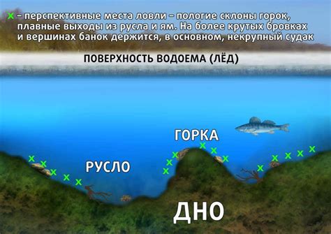 Откройте для себя лучшие места для фидерной рыбалки в Петербургском крае