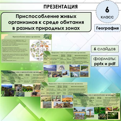 Открытия, подтверждающие существование живых организмов в уникальной природной среде