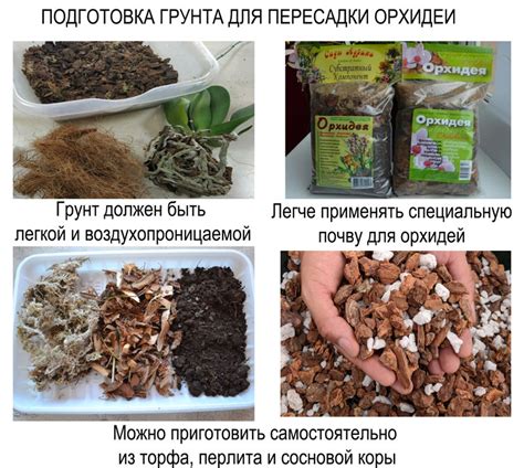 Подготовка почвы для нового горшка