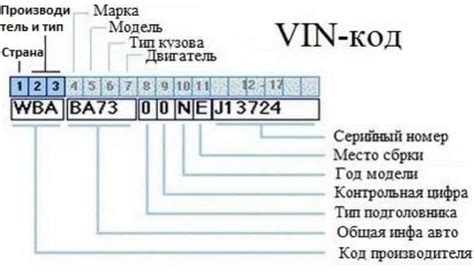 Поиск и расположение ВИН кода на кузове автомобиля