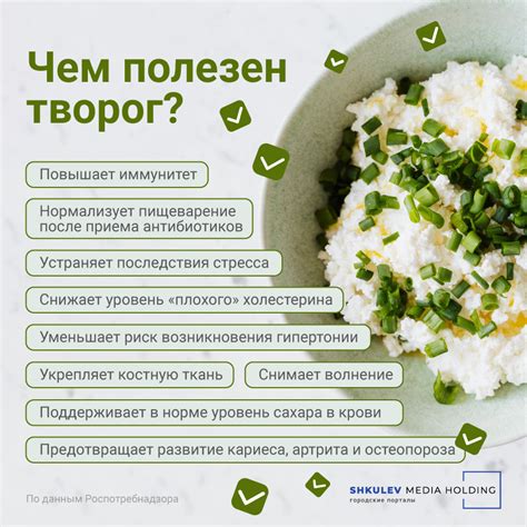 Полезные свойства белых треугольных деликатесов для здоровья