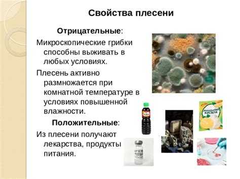 Положительные свойства муки с присутствием плесени