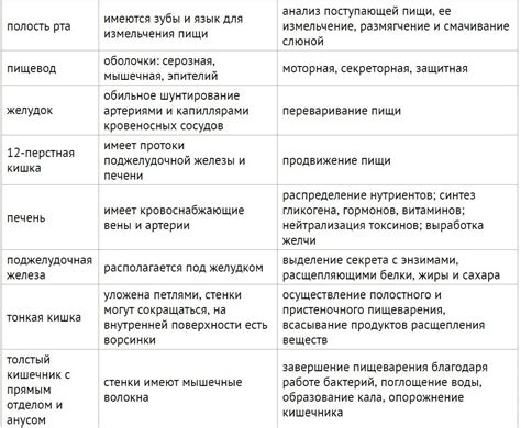 Потенциальные угрозы для органов пищеварительной системы при воздействии паров антифриза