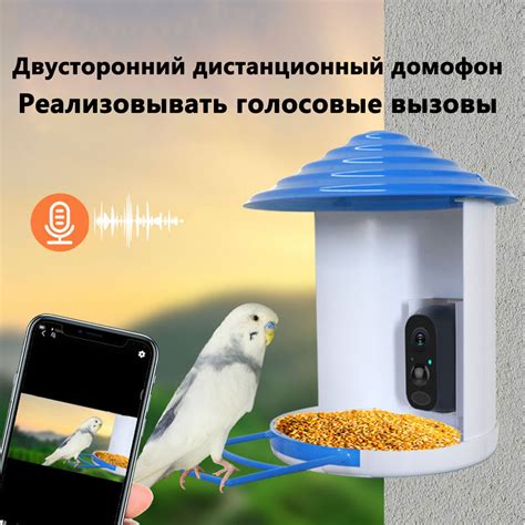 Приготовление перловки для кормления птиц