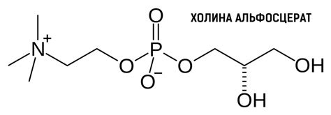Принципы воздействия и действия холина