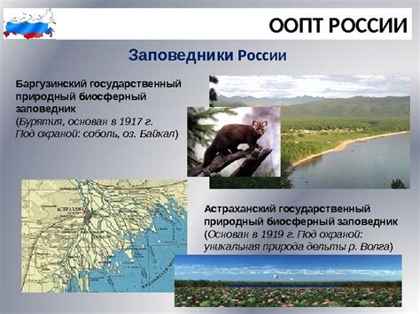 Природные территории и национальные заповедники, где встречается уникальный вид растения