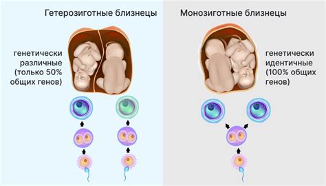 Причины, симптомы и лечение герминолизиса