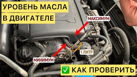 Проверка информации о двигателе в документах автомобиля