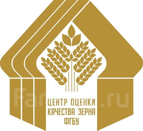 Проверка качества зерна: как определить сохранность