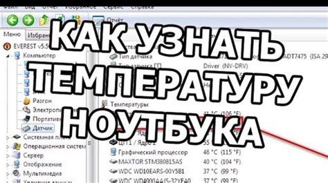 Проверка температуры перед подачей пищи питомцу
