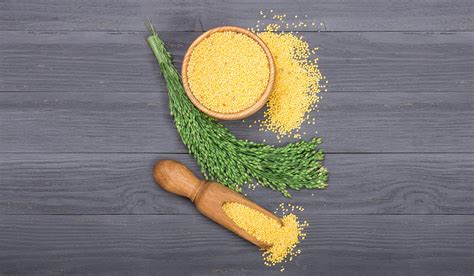 Продолжительность хранения пшена: как долго можно сохранять данный продукт
