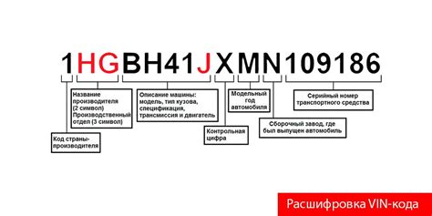 Процесс выявления VIN-кода автомобиля: ключ к определению его происхождения