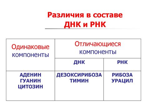 Различия в составе