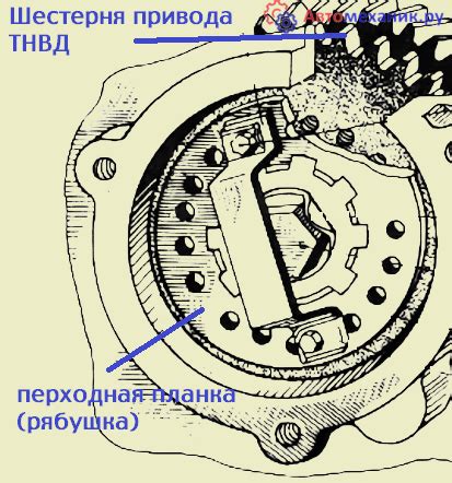 Расположение индивидуальных оригинальных знаков на тракторе МТЗ-80