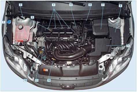 Расположение и роль модуля удобства автомобиля Ford Focus 2 до рестайлинга