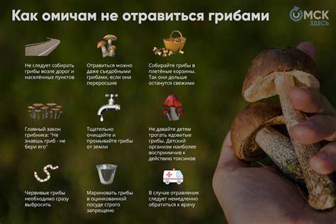 Расшифровка биологических свойств чудесной грибной бурые пески
