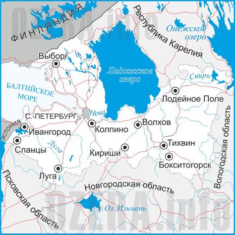 Реки и озера в Ленинградской области: возможности для рыбаков-фидерщиков