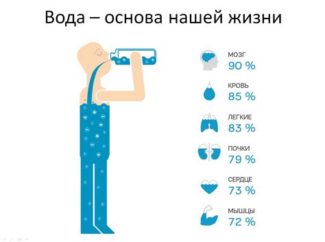 Роль воды в процессе удаления 1 килограмма веса за ночь