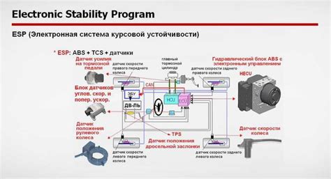 Роль датчиков ABS в работе системы стабилизации автомобиля