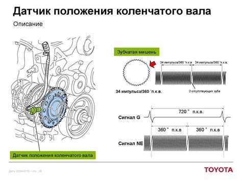 Роль исправной работы датчика положения коленвала в надлежащей эксплуатации автомобиля