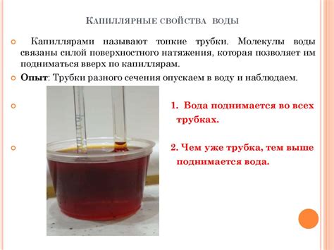 Свойства природной воды при замораживании: основа для исследований
