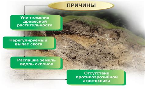 Снижение угрозы эрозии и сохранение целостности почвы