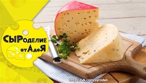 Советы по адекватной упаковке голландского сыра перед замораживанием