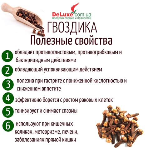 Состава и потенциальные свойства гвоздики и его воздействие на уровень глюкозы в крови