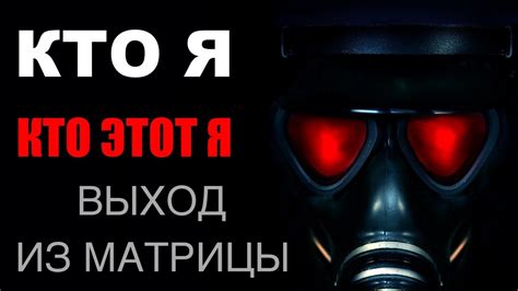 Сотрудничество с соседями для общего контроля и владения животными