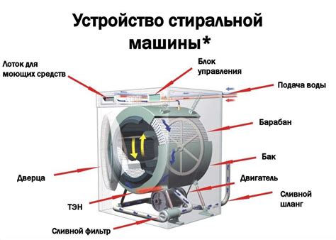 Структура и проходимость стиральных машин для грызунов