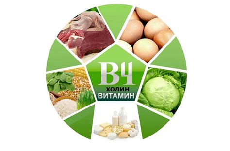Существенные отличия между холином и лецитином
