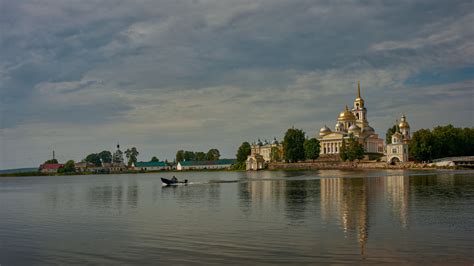 Тайные места, где процветает обилие багульника в окрестностях Москвы