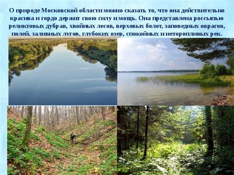 Тайные уголки природы Московской области, где великолепно процветает кислинка