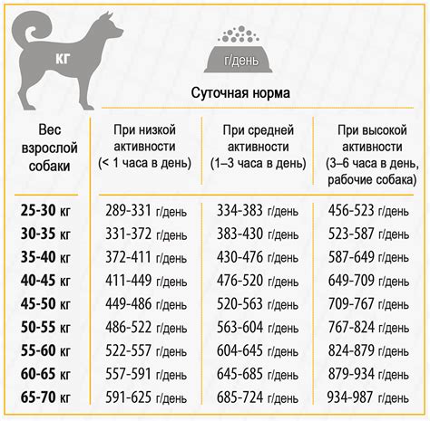 Техники умягчения сухого корма в микроволновке