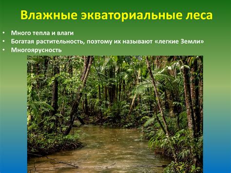 Тропическая растительность и влажные болота: открытия энтузиастов в Алтайском крае