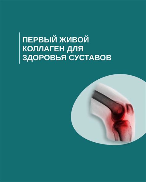 Увеличение мышечной массы и укрепление хрящевой ткани при совместном приеме креатина и коллагена