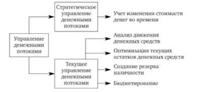 Управление денежными средствами СНТ: финансовый куратор как важный элемент
