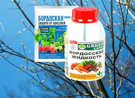 Фитоспорин и бордосская жидкость: действенность и экологическая безопасность
