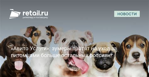 Характеристики рынка торговли домашними питомцами
