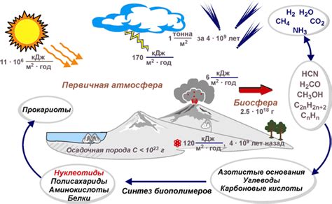 Химическое происхождение и особенности