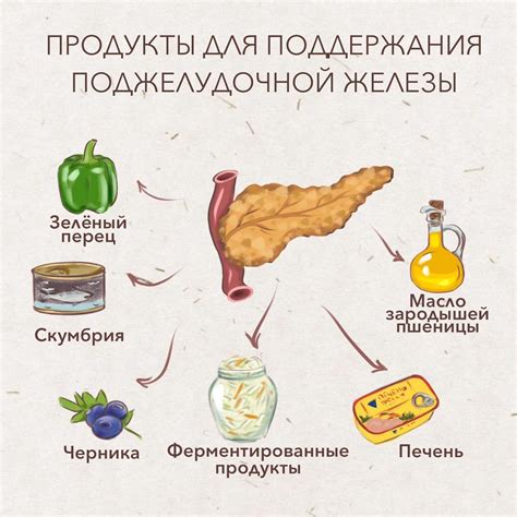 Что следует обратить внимание при нарушении пищеварения после употребления чая "Кипрей"