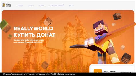 Шаг 3: Взаимодействие с техподдержкой сервера Reallyworld