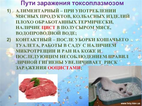  Альтернативные подходы к обеспечению безопасности при употреблении мясных деликатесов
