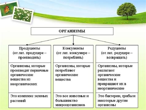 Взаимосвязь природных экосистем: основной метод исследования
