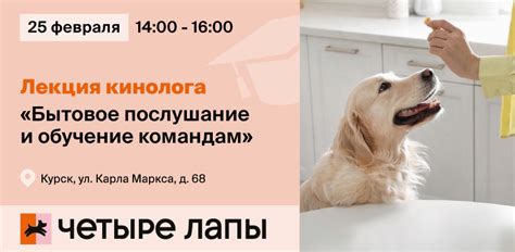  Воспитание животных и обучение командам 