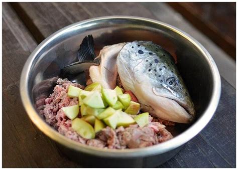  Как правильно предложить собаке вареную куриную кожу 