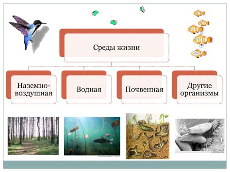  Условия и места обитания лещины в лесных, прибрежных и горных зонах области 